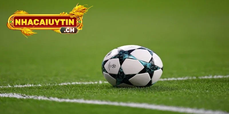 Tiện ích đa dạng giúp việc tìm thông tin trở nên nhanh hơn