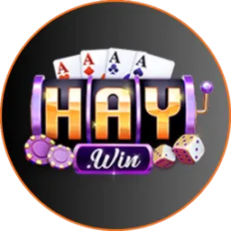 haywin-top